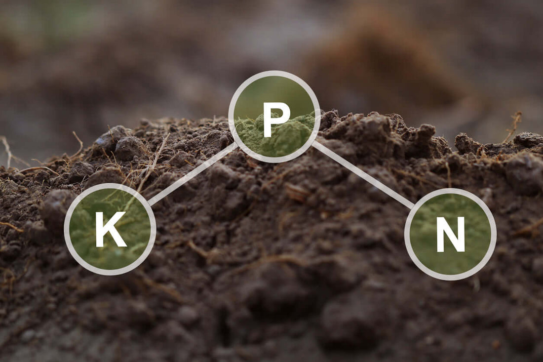 Soil Showing the three macronutrients, nitrogen, phosphorus and potassium depicted as a pictogram