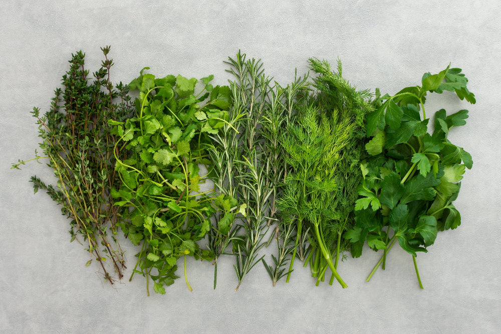 A healthy assortment of aromatic herbs growing in a garden, demonstrating the enhanced flavor and potency achieved with Soil Smiles organic fertilizer.