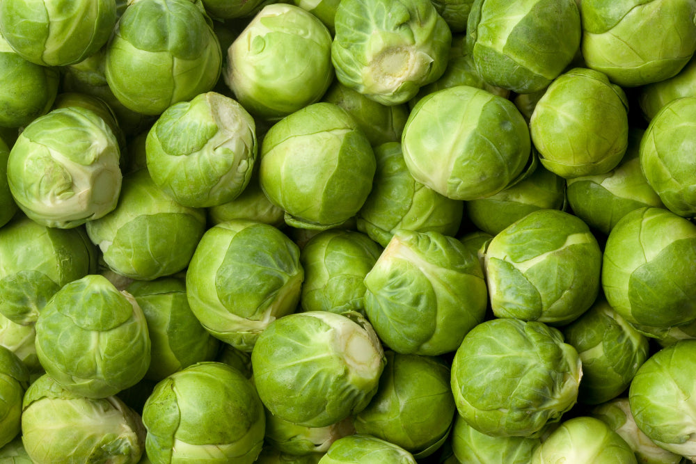 Freshly harvested Brussels sprouts, showcasing the results of using Soil Smiles organic fertilizer.
