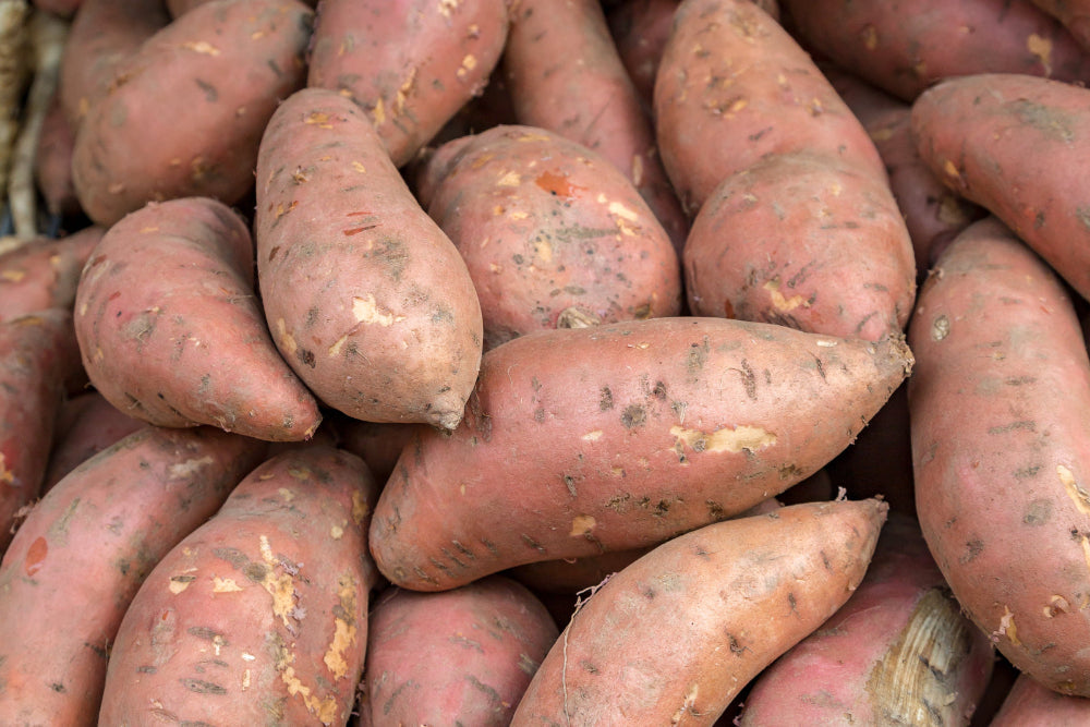 A plentiful harvest of sweet potatoes, freshly dug and piled together, grown using Soil Smiles natural organic chicken manure pellets fertilizer.