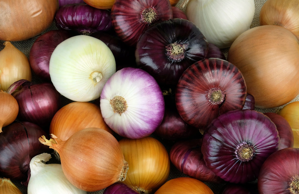 A bountiful harvest of various onion varieties, demonstrating the abundant yield achieved with Soil Smiles organic fertilizer.