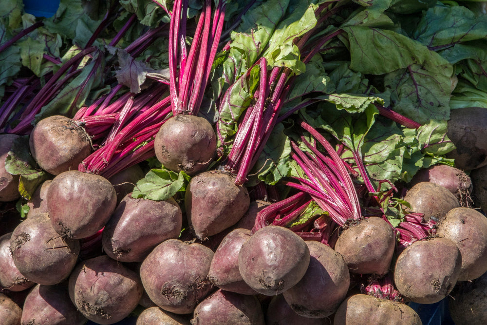 Freshly harvested beets, showcasing the results of using Soil Smiles organic fertilizer.