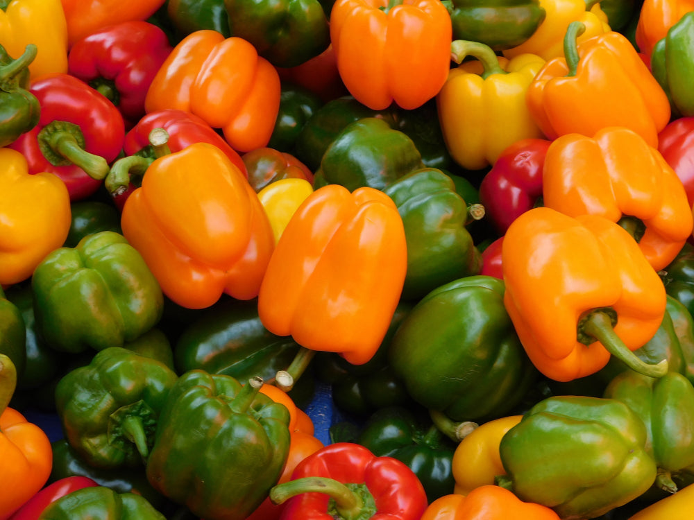 A colorful assortment of harvested bell peppers, showcasing the results of using Soil Smiles organic fertilizer.