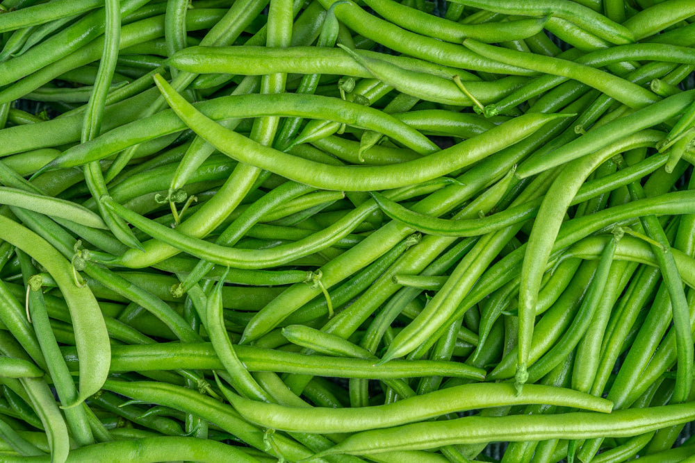 Freshly harvested green beans, showcasing the results of using Soil Smiles organic fertilizer.