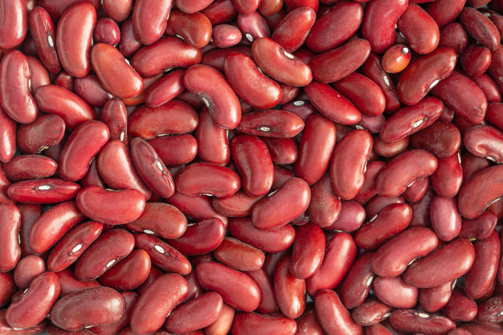 A bountiful harvest of kidney beans, demonstrating the abundant yield achieved with Soil Smiles organic fertilizer.